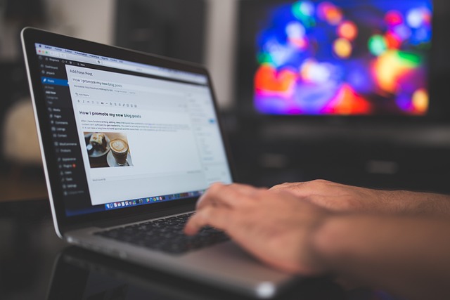Wordpress for Begginers